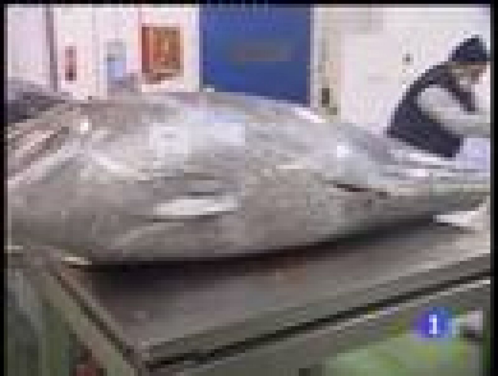 La Unión Europea podría vetar la pesca de atún rojo por la sobreexplotación | Ver