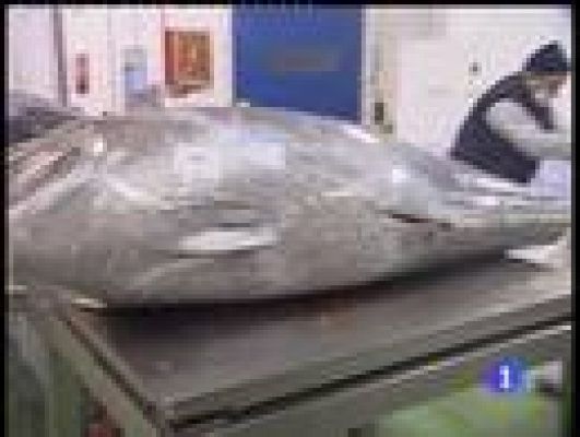  - Veto al atún rojo