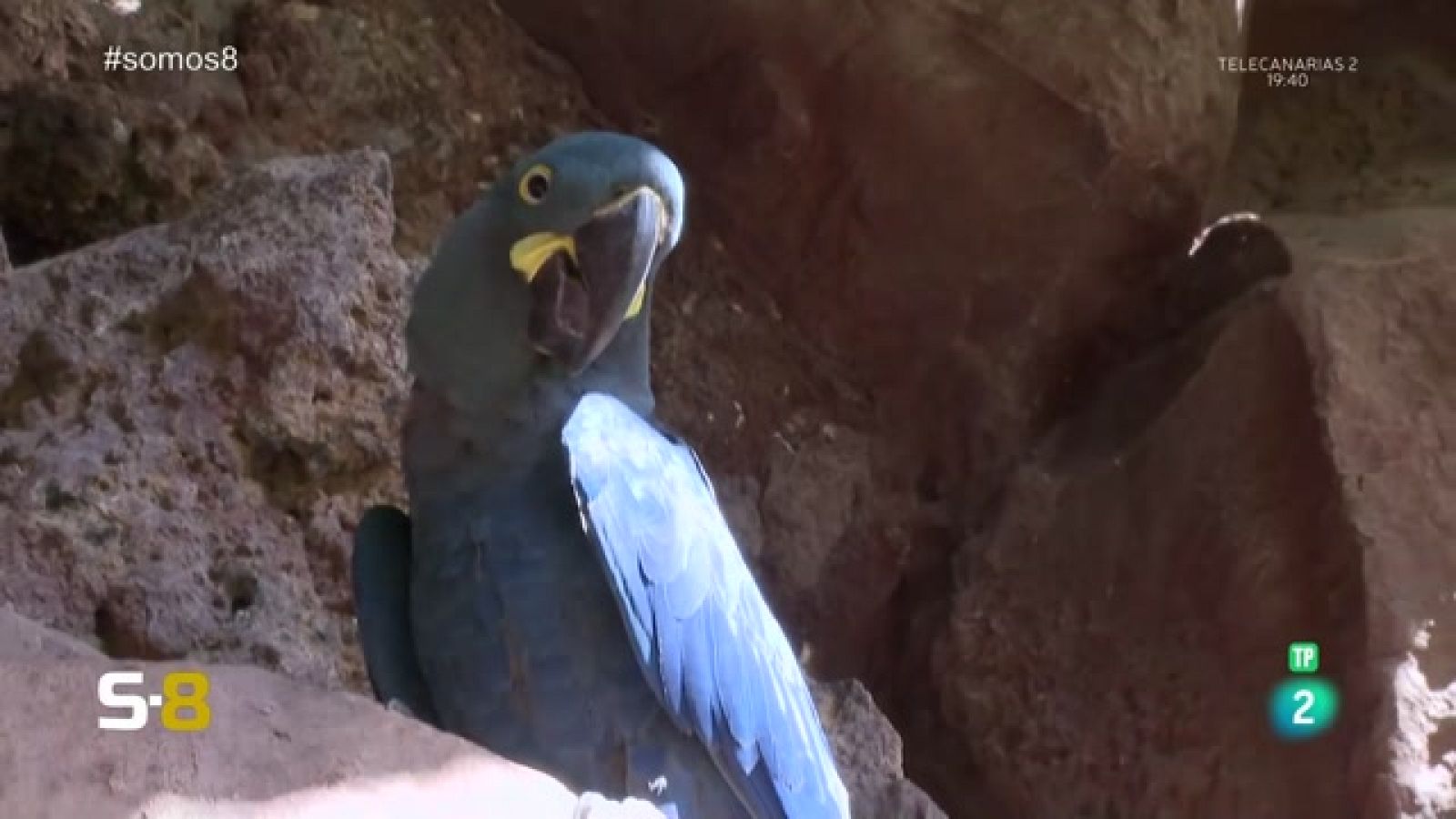 Somos 8 - 09/11/2023