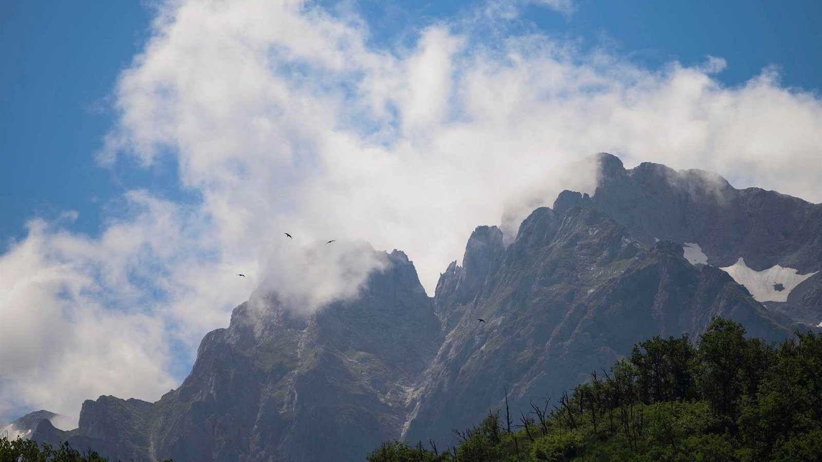 Ley de Restauración de la Naturaleza: un acuerdo positivo pero con lagunas, según los expertos