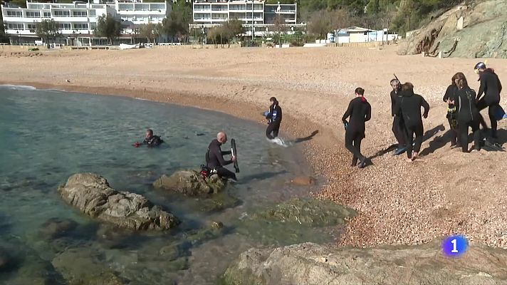 Quins canvis produeix el canvi climàtic al fons marí?