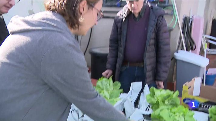 L'Informatiu - Horts urbans amb finalitats solidàries