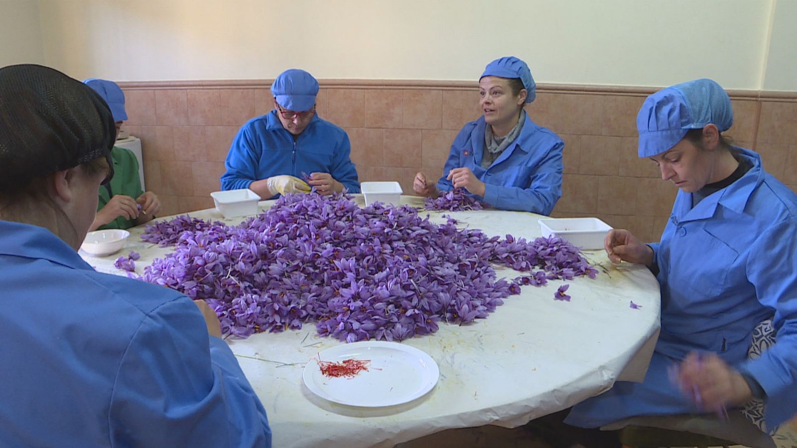 Agrosfera - 11/11/23 - ver ahora