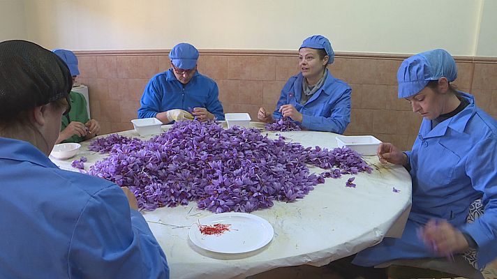 Agrosfera - Agrosfera - 11/11/23