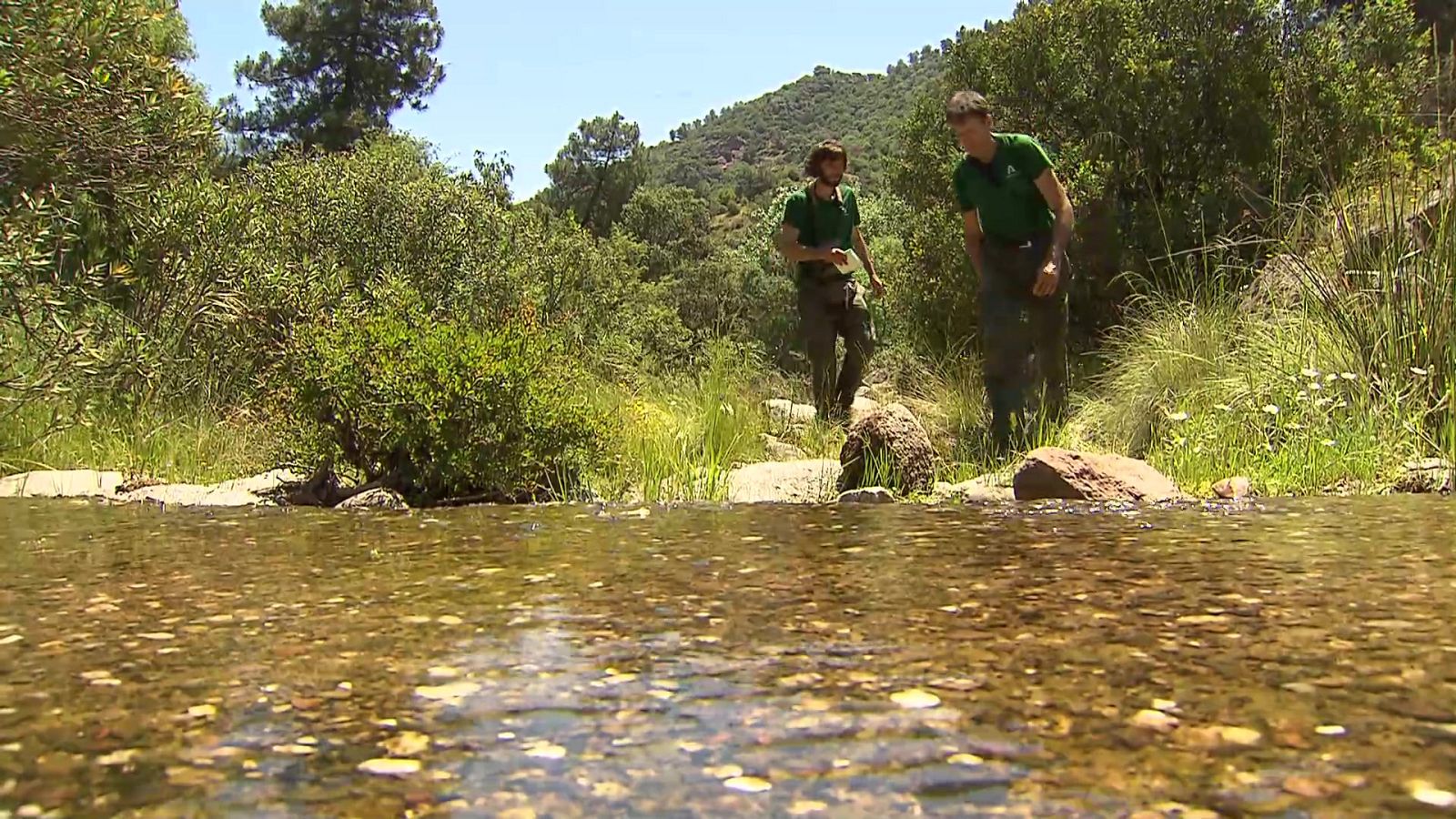 Jara y sedal - Aplicación del fototrampeo - ver ahora