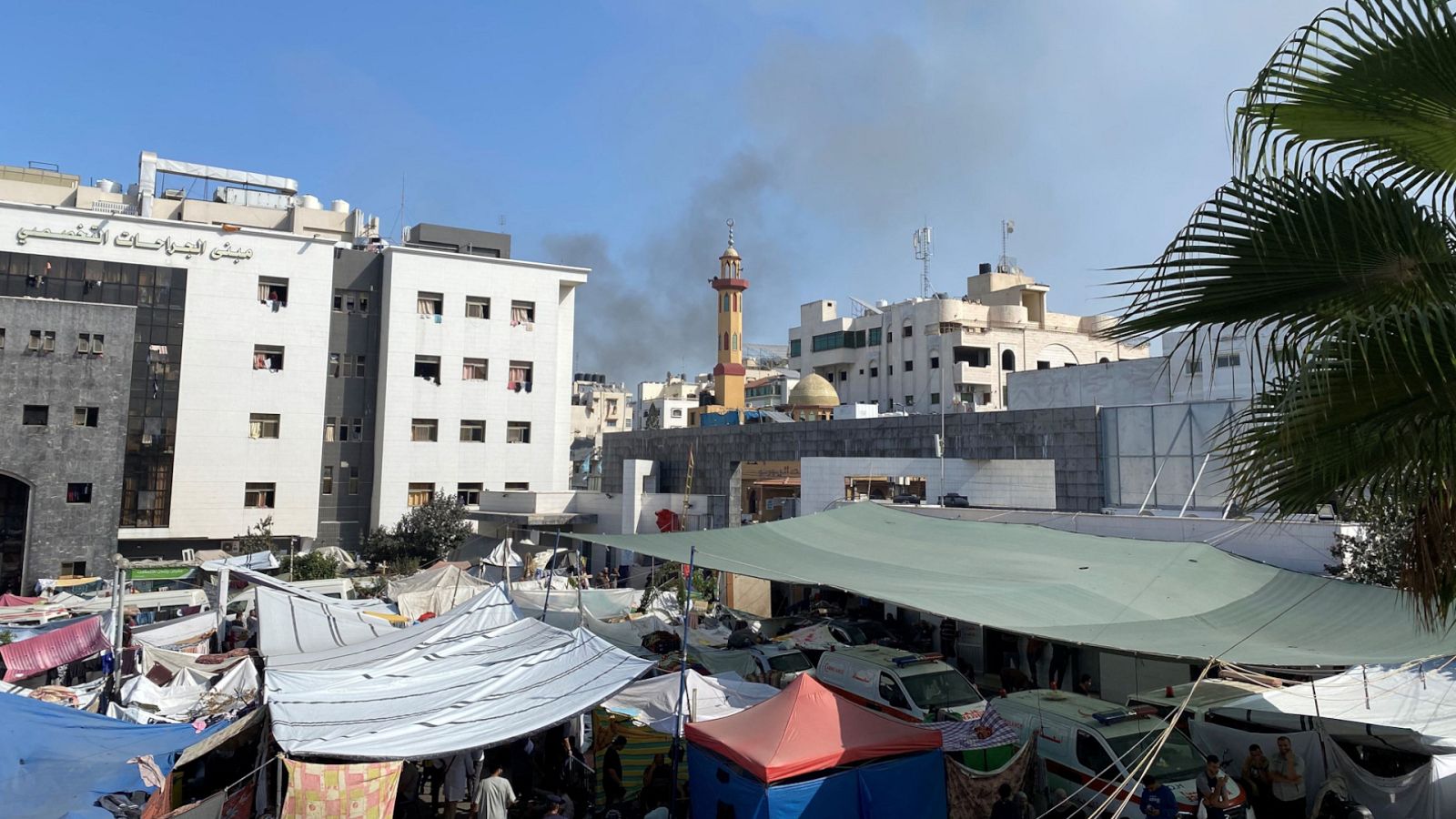 Informe Semanal - 11/11/23 - Lengua de signos - ver ahora