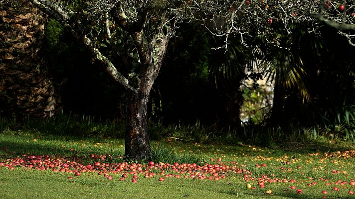 Temperaturas al alza de forma generalizada y lluvias en el noroeste