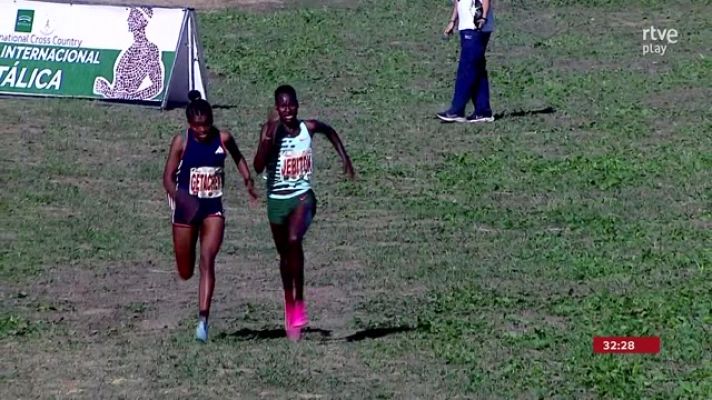 Cross - ¡Se para antes de tiempo!: El despiste de Jebitok que casi le cuesta la final de la Cross Itálica 2023