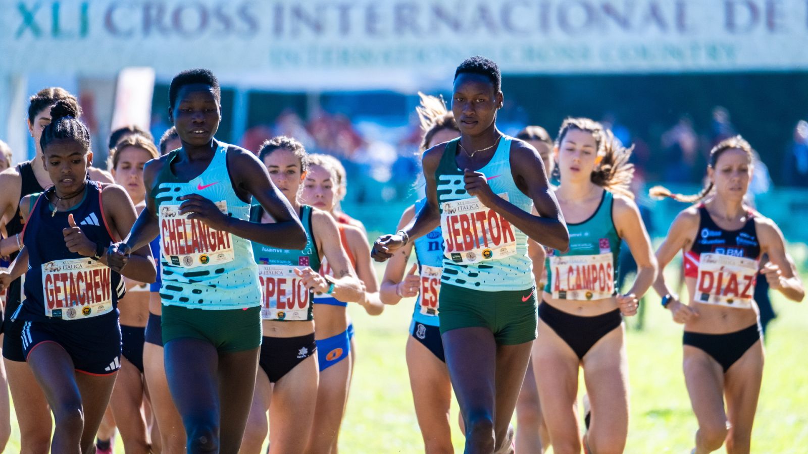 Cross Internacional de Itálica: carrera femenina y carrera masculina - ver ahora