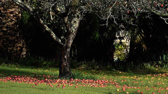 Cielos poco nubosos, salvo en Galicia y cordillera cantábrica donde lloverá