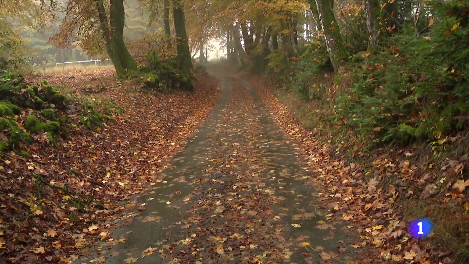 Santiago Posteguillo, tras las huellas de Julio César con 'Maldita Roma' | Ver