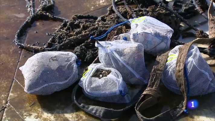 L'Informatiu - Neteja del fons marí a Barcelona: acció solidària per visibilitzar la brutícia