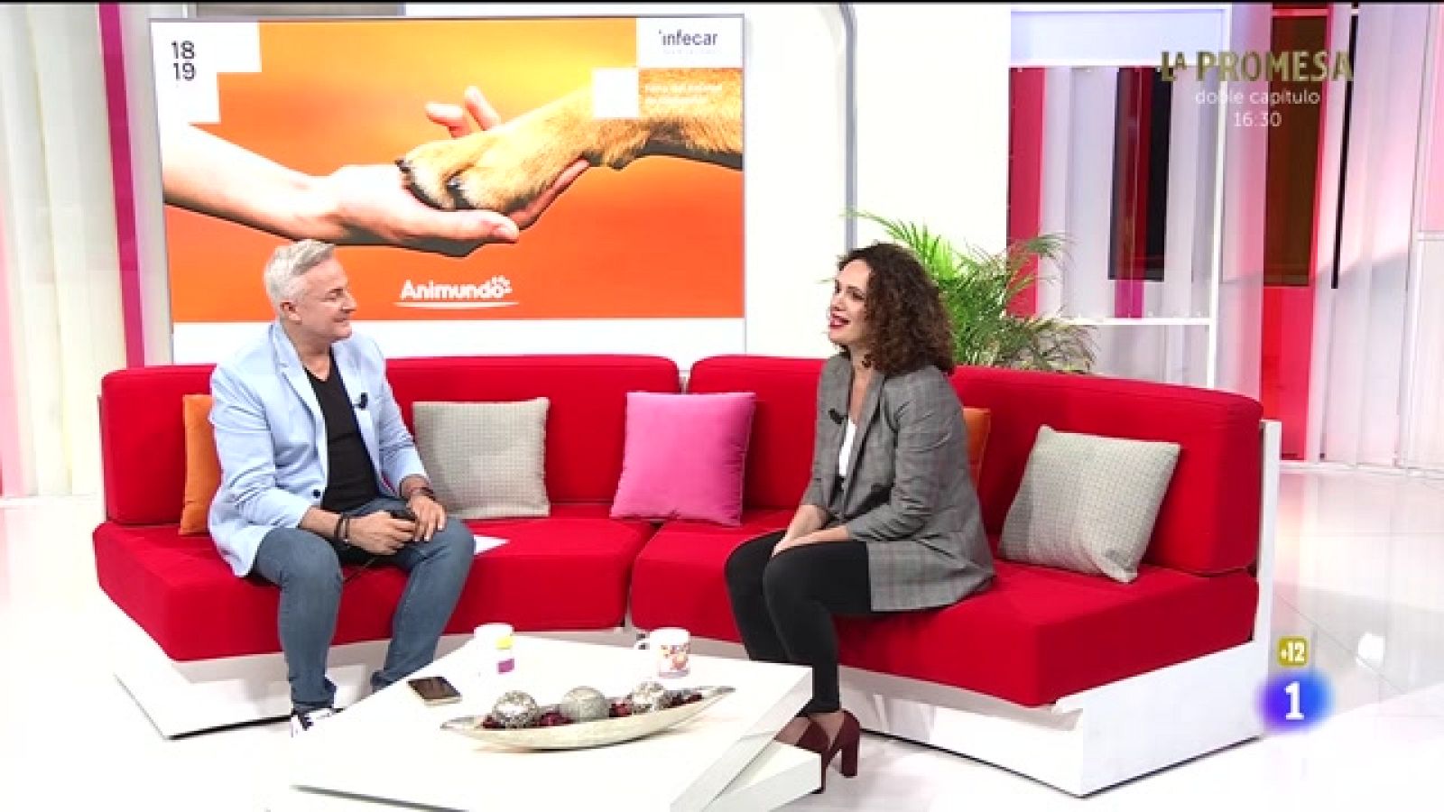 Cerca de ti - 14/11/2023