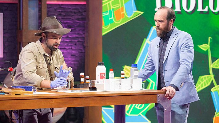 Órbita Laika - El siglo XX en cuatro demostraciones