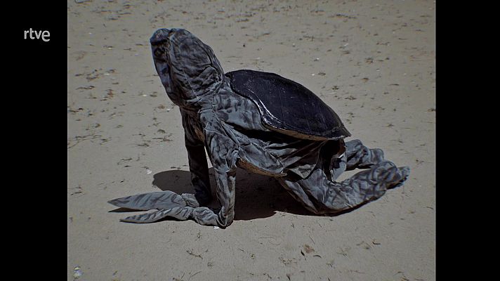 La aventura del Saber - Cartas al director. Cristina de Middel