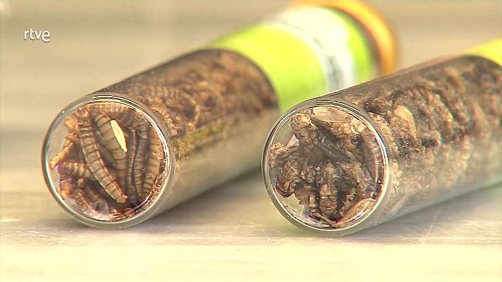 Aquí hay trabajo - Aquí hay trabajo - 16/11/23