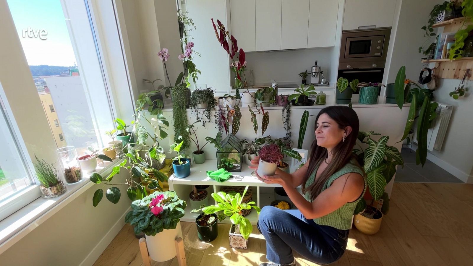 Va de Verd - Plantes d'interior amb la greenfluencer Clara Redondo - Veure ara