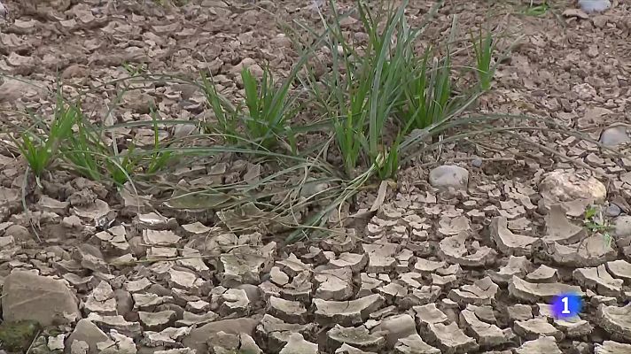 L'Informatiu - Els rius pateixen la sequera històrica que viu Catalunya