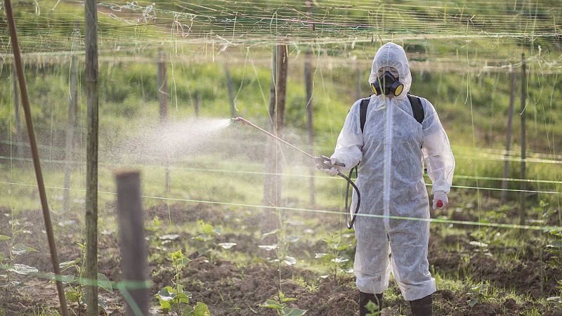 Bruselas renovará la autorización para usar el herbicida glifosato durante diez años más