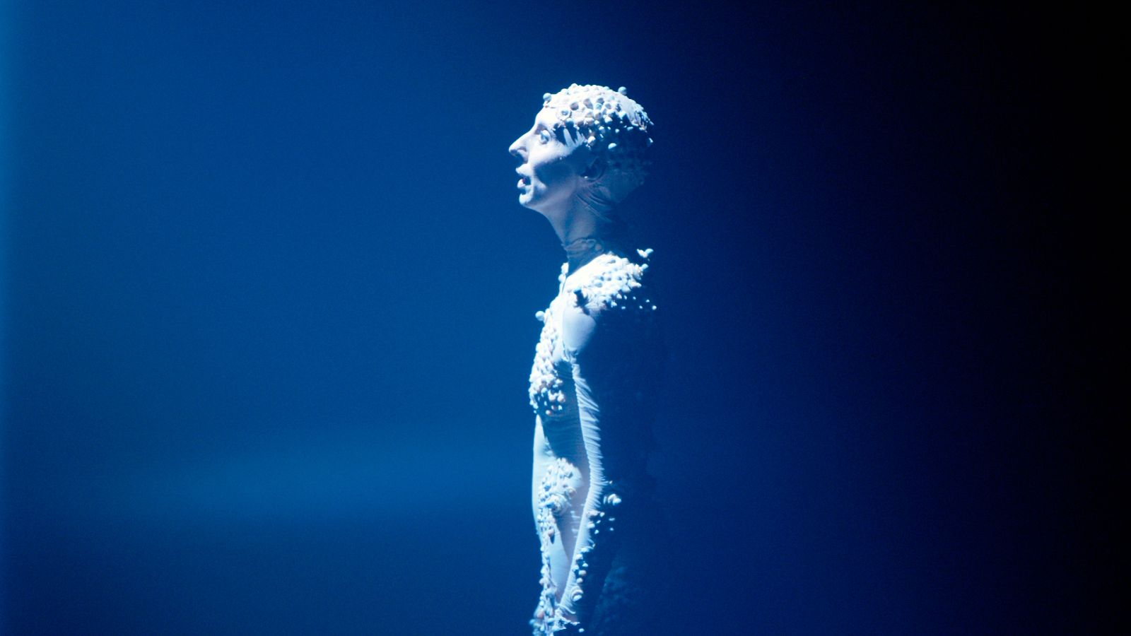 Atención Obras- Instituto Stocos