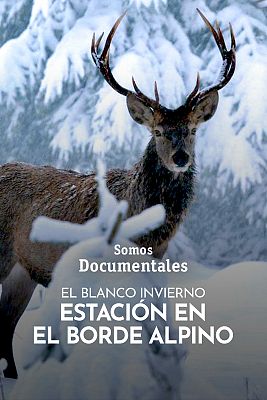 Somos Documentales - El blanco invierno, estación en el borde alpino