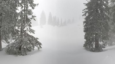 Somos documentales - El blanco invierno, estacin en el borde alpino - ver ahora