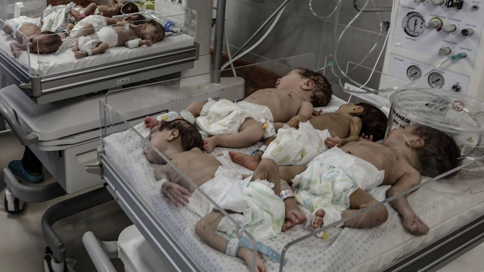 Evacúan a 31 bebés prematuros del hospital de Al Shifa y los trasladan al sur de la Franja de Gaza 