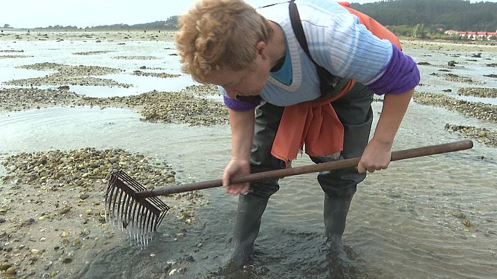 Repor - Del toxo a A Toxa