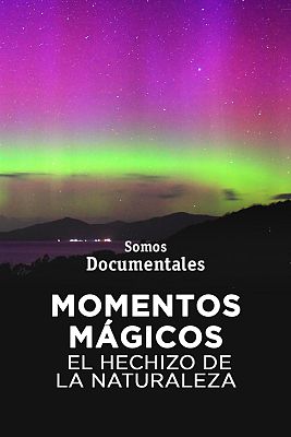 Momentos mágicos. El hechizo de la naturaleza