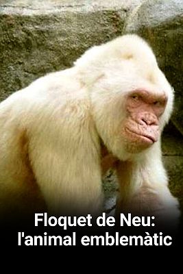 Floquet de Neu: l'animal emblemàtic