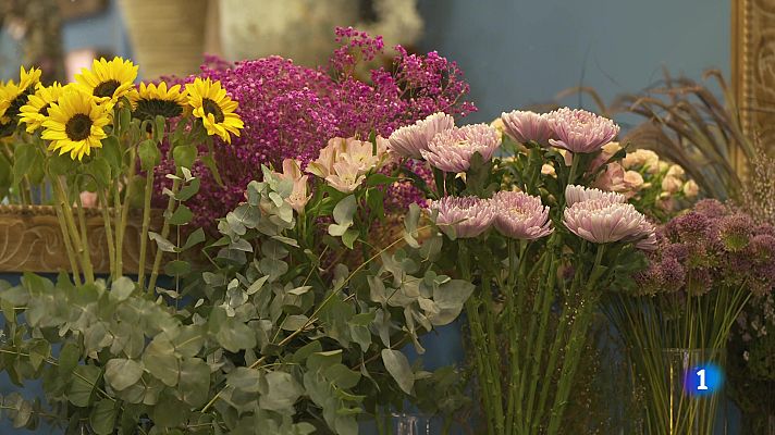 Desafío Digital - Entre flores y followers - Ver ahora