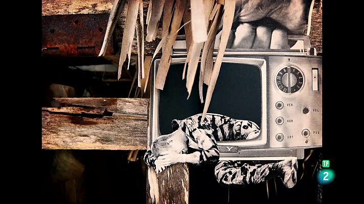 La aventura del Saber - Boek Visual: Rebeka Elizegi