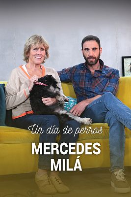 Un día de perros - Mercedes Milá