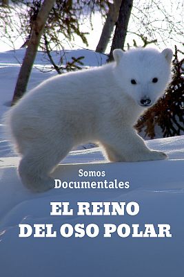 Somos Documentales - El reino del oso polar