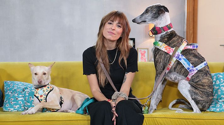 +Cotas - Así es la canción que Chica sobresalto regala a Dani Rovira para 'Un día de perros'