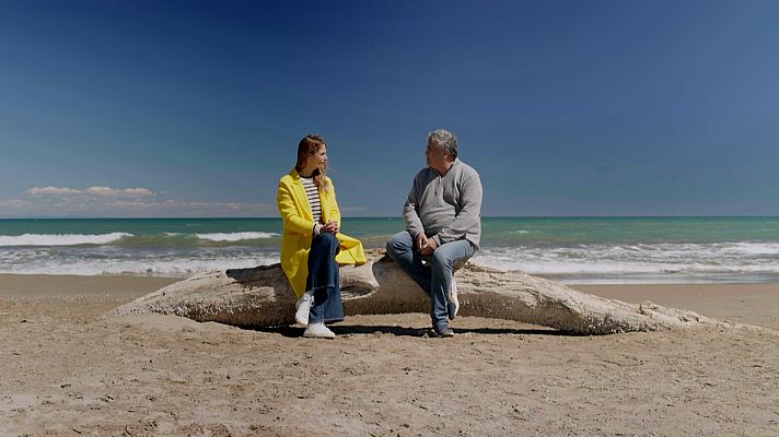 El Delta de l'Ebre i la falta de sediments