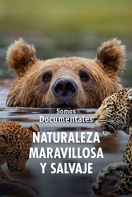 Naturaleza maravillosa y salvaje