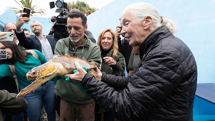 La tarde en 24h - Jane Goodall visita un centro de recuperación de fauna silvestre en Tenerife