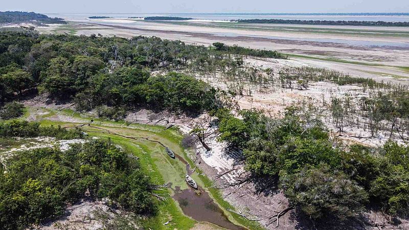 La selva del Amazonas pierde un 20% de su tamaño original
