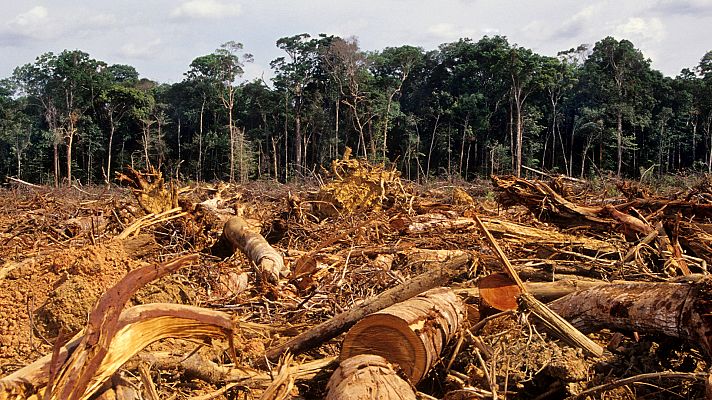 SOS Amazonas