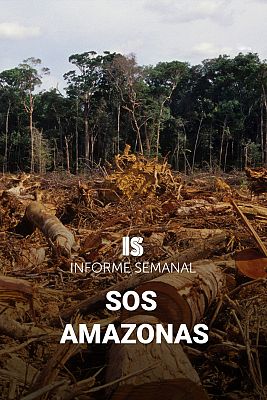 Informe Semanal - SOS Amazonas