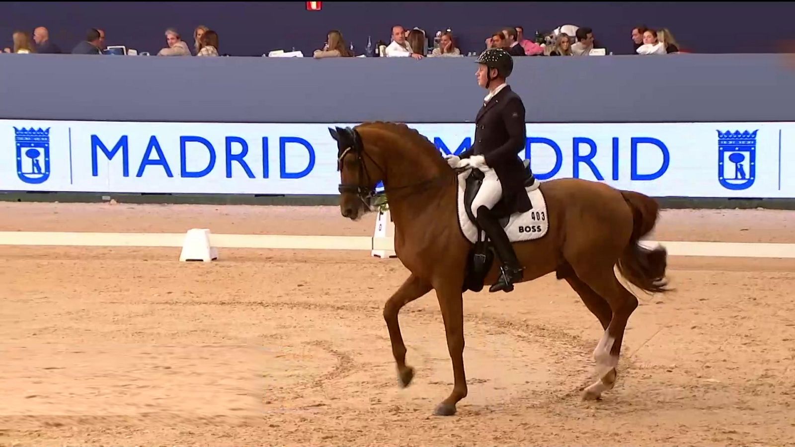 Hípica - Madrid Horse Week Doma. Copa del mundo de doma clásica freestyle - ver ahora