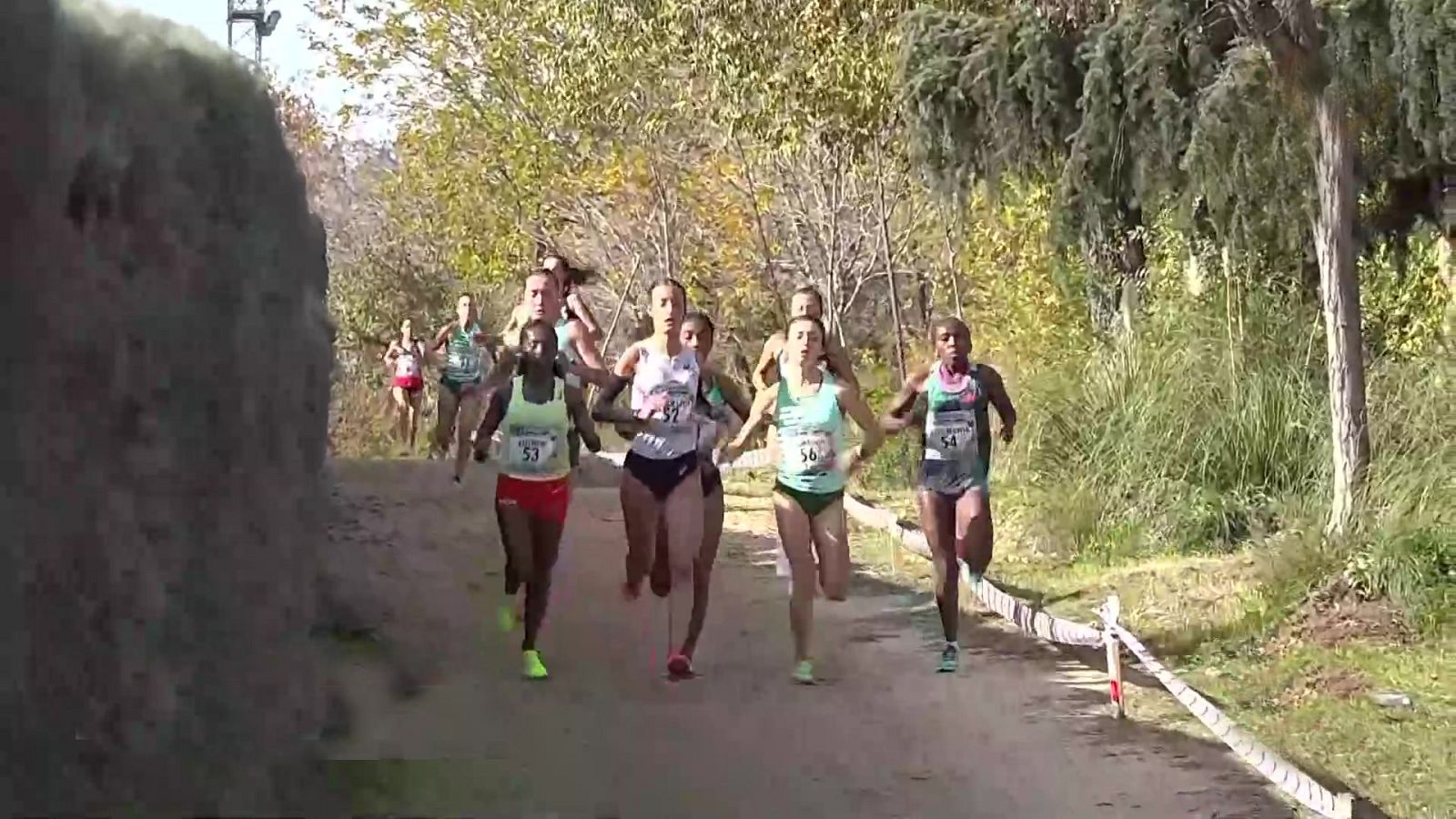 Cross Internacional de Alcobendas. Carrera femenina y masculina - ver ahora