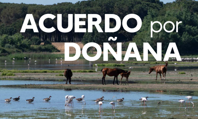Acuerdo Gobierno - Junta de Andalucía sobre Doñana