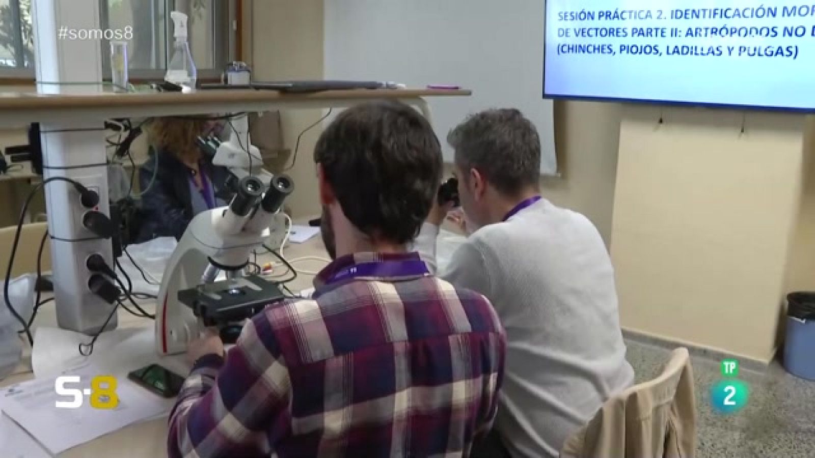 Somos 8 - 27/11/2023 | Magazine de la actualidad canaria - Somos 8 | Ver