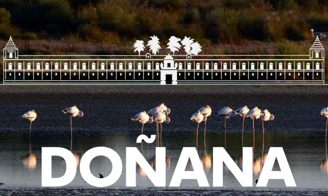 Acuerdo sobre Doñana