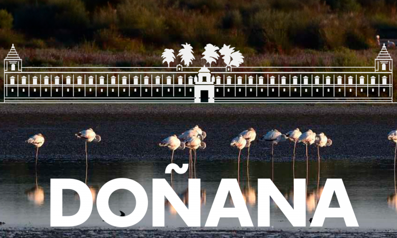 Acuerdo sobre Doñana - Ver ahora