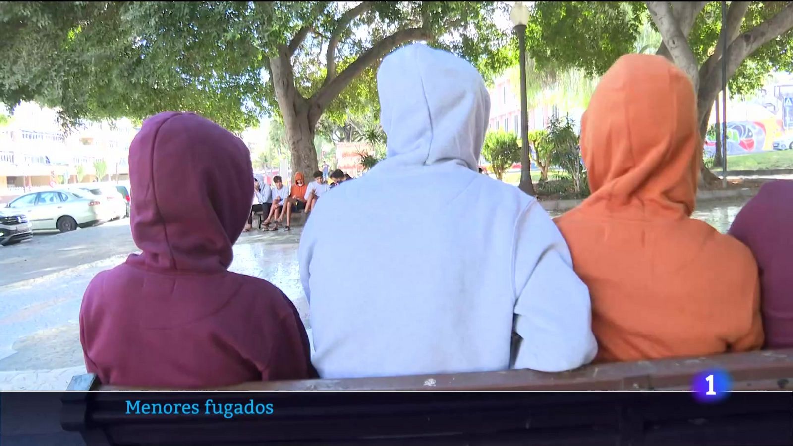 Telecanarias - 28/11/2023