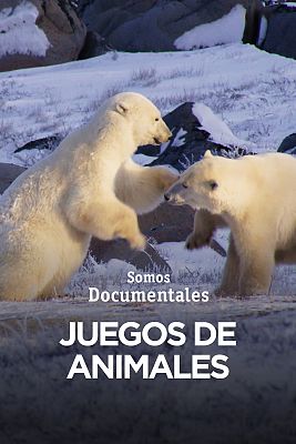 Juegos de animales