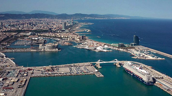 Curioseando - La naturaleza se abre paso